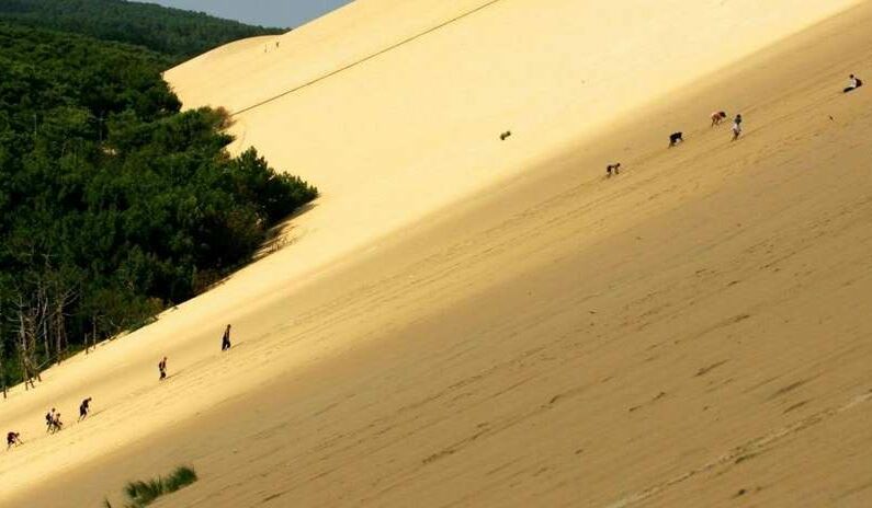 dune pilat