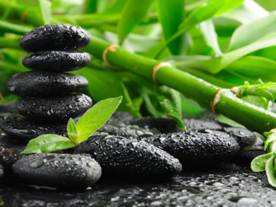 black stones and green plant with drops